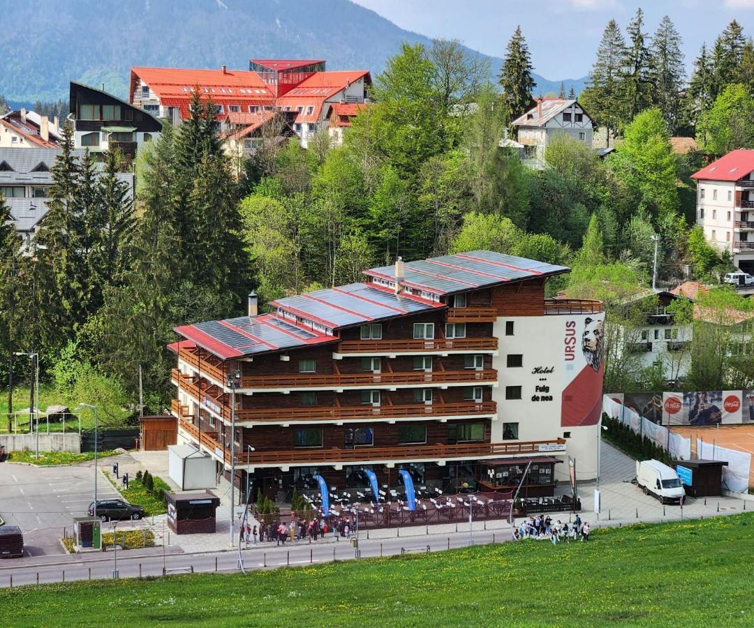 Cabana Fulg De Nea Predeal Dış mekan fotoğraf